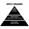 Αρωματικό Κερί Σόγιας Themagio Spicy Orange 300gr 1 Τεμάχιο