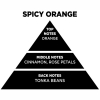 Αρωματικό Χώρου Με Sticks - Diffuser Themagio Spicy Orange 100ml 1 Τεμάχιο