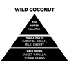 Αρωματικό Χώρου Με Sticks - Diffuser Themagio Wild Coconut 200ml 1 Τεμάχιο