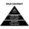 Αρωματικό Χώρου Με Sticks - Diffuser Themagio Wild Coconut 100ml 1 Τεμάχιο